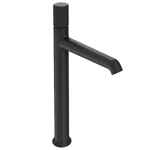 Mitigeur lavabo Jacob Delafon Rivoli noir mat E24168-BL