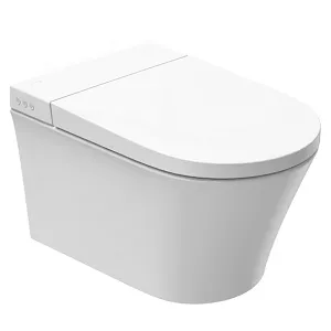 WC suspendu Jacob Delafon Seine E28072-00