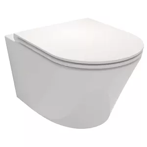 WC suspendu Jacob Delafon Rodin+ E25856-00