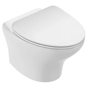 WC suspendu Jacob Delafon Nouvelle Vague EDK102-00