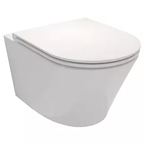 WC suspendu Jacob Delafon Rodin+ EDY102-00