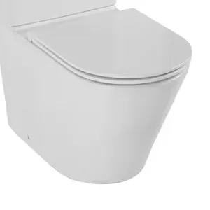 Cuvette WC � poser Jacob Delafon Rodin+ UJAB102-00