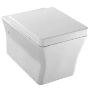 WC suspendu Jacob Delafon Reve E4811-00