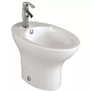 Bidet Jacob Delafon Presqu' Ile E1348-00