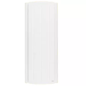 Radiateur fonte Bolero 2 horizontal Sauter r�f. 579610