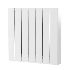 Radiateur Accessio Digital horizontal Atlantic r�f. 524710