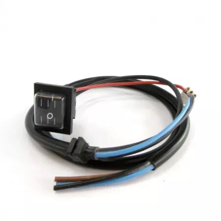 INTERRUPTEUR + CABLE ALIM. - ATLANTIC / SAUTER / THERMOR REF. 083321