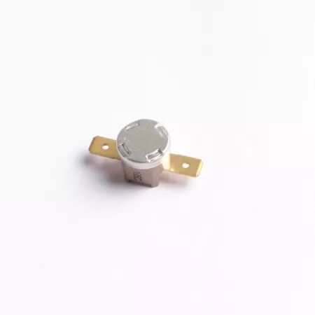 COUPE CIRCUIT THERMIQUE - ATLANTIC / SAUTER / THERMOR REF. 085058