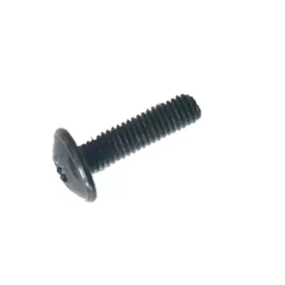 VIS TRL M5X10 POZIE ZN NOIR � l'unit� - GODIN R�f. 00001305476
