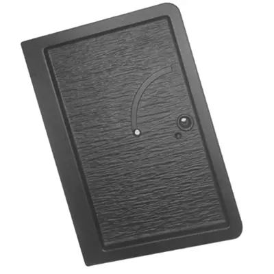 Porte de foyer - DEVILLE Réf. P0T20436 / F6DV20436U 