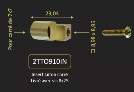 INSERT CARRE POUR CARTOUCHE INVERSEUR 53CC956DEV35 ET VIS - PAINI R&eacute;f. 2TTO910IN