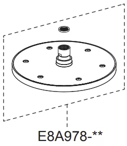 Pomme de t�te ronde 8\  - Jacob Delafon R�f. E8A978-CP