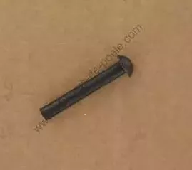 RIVET ACIER TR D6 0-0,2 LG 50 - GODIN Réf. 00001307987 (SUIVI)