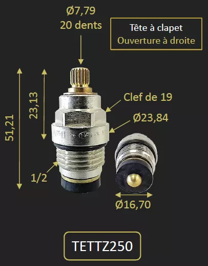 T�te � clapet pour TZCR250A - PAINI R�f. TETTZ250