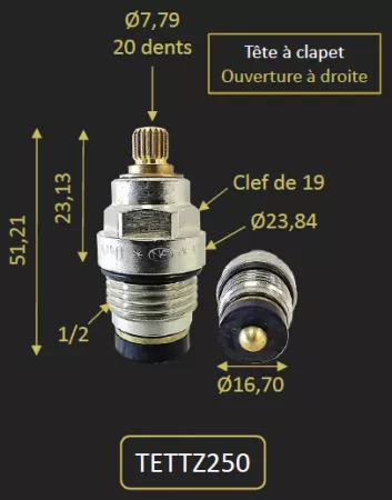 T&ecirc;te &agrave; clapet pour TZCR250A - PAINI R&eacute;f. TETTZ250