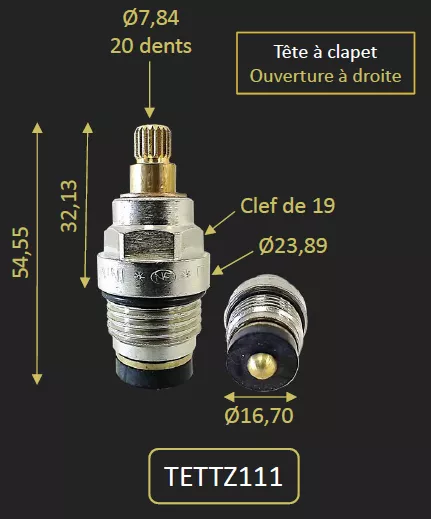 TETE CLAPET POUR TZ111 - PAINI R�f. TETTZ111