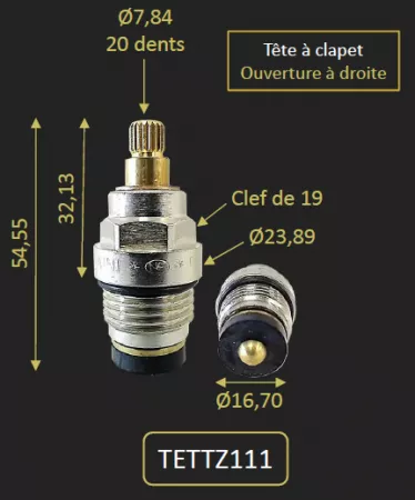 TETE CLAPET POUR TZ111 - PAINI R&eacute;f. TETTZ111