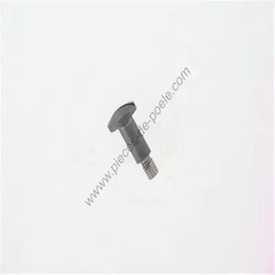Vis de fixation du loquet de fermeture � 6 - INVICTA R�f. AS610155A (STOCK)