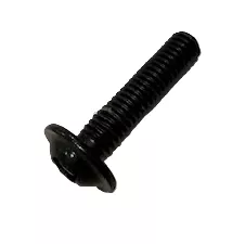 VIS TRL M6X25 POZIE ZN NOIR à l\'unité - GODIN Réf. 00001305959 (SUIVI)